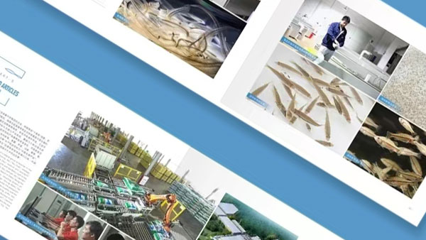 �̄�(w��)�����O(sh��)Ӌ��׌�����I(y��)�����_(d��)���¸߶���